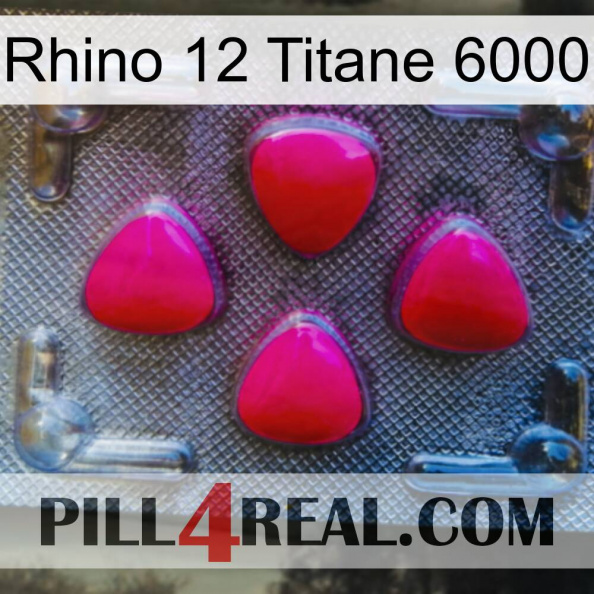 Rhino 12 Titanium 6000 13